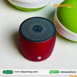 EWA A103 Bluetooth Speaker (Multicolor)